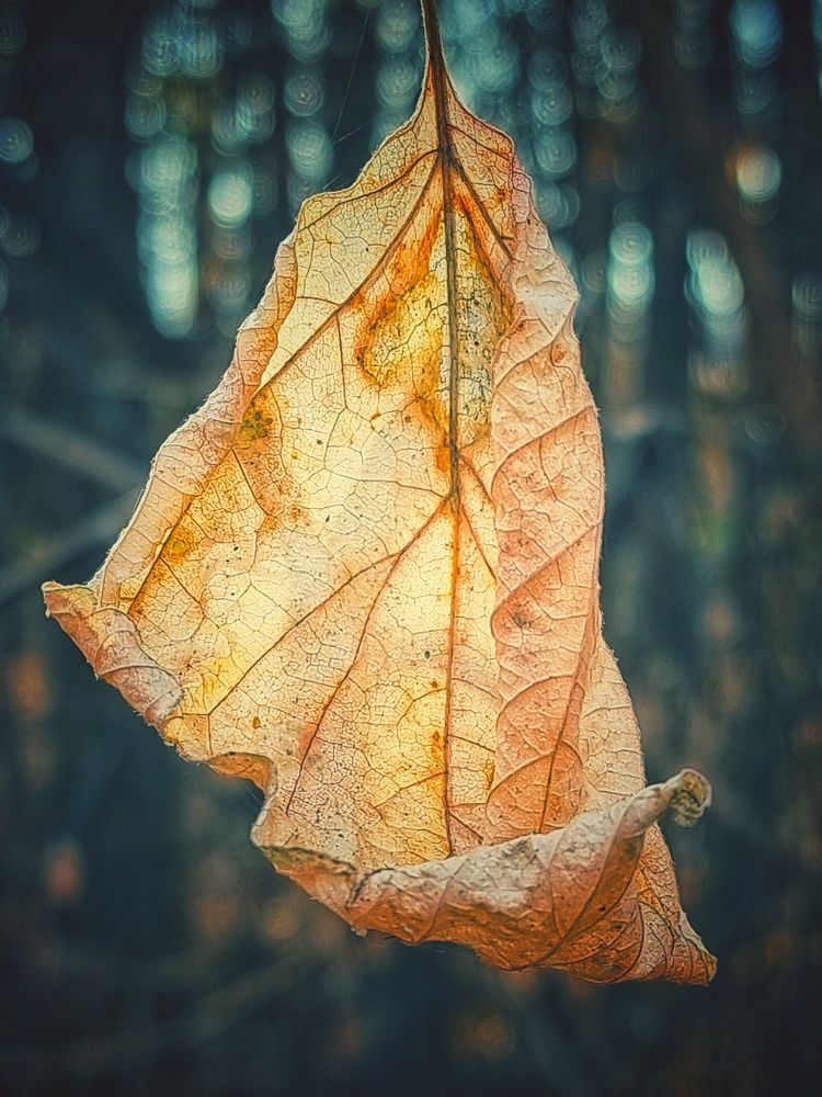 Photograph by Василий