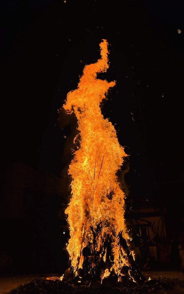HOLIKA DAHAN