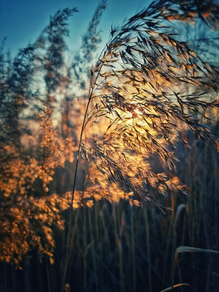 Photograph by Василий