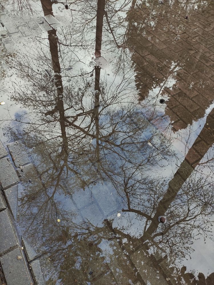 Photograph by Ирина Алексеевская