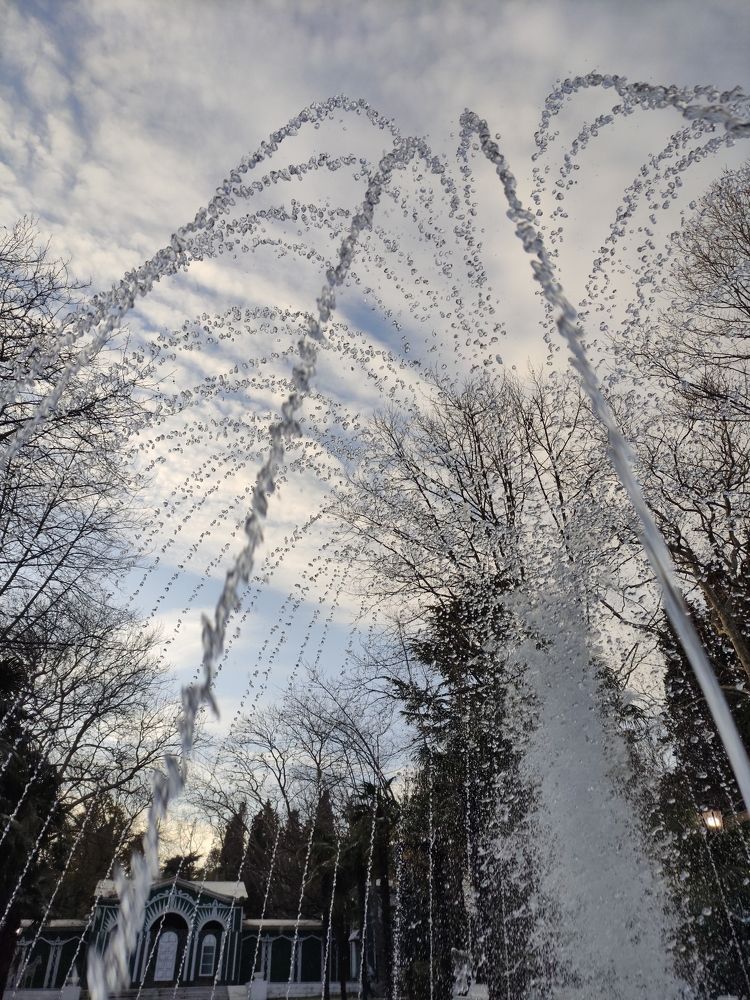 Photograph by Ирина Алексеевская