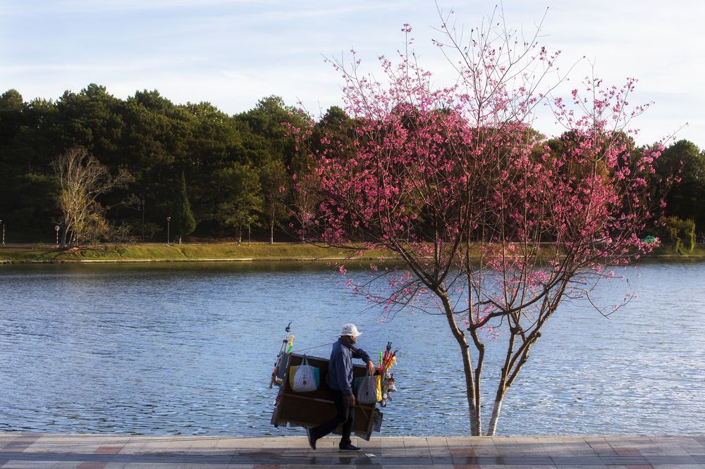 Photograph by Hiếu Nguyễn