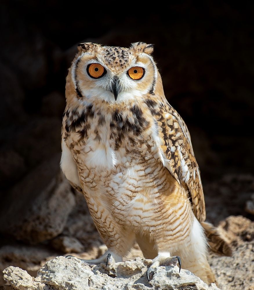 Photograph by miras mc