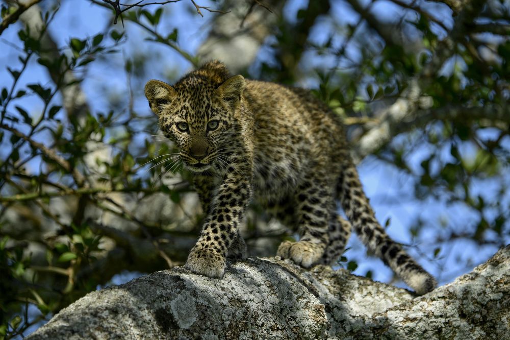 Photograph by Chinmay Fichadiya