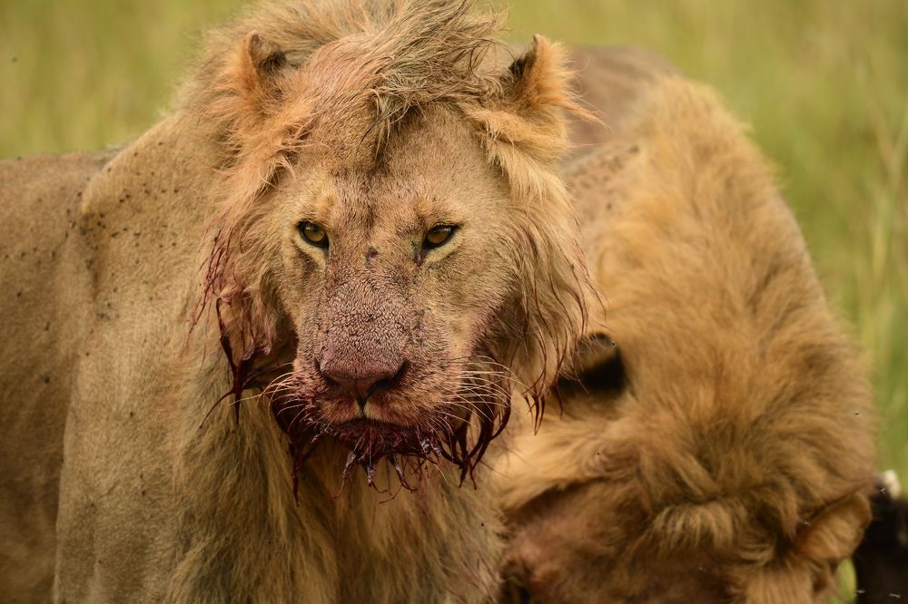 Photograph by Chinmay Fichadiya