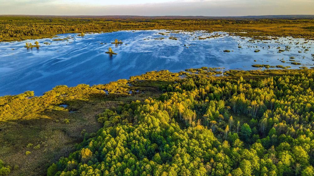 Photograph by Анатолий Стребелев