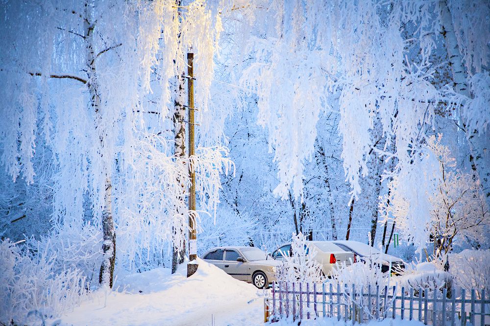 Зимняя сказка