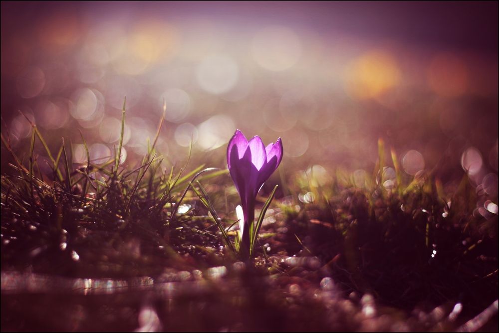 Photograph by Krzysztof Trojanowski