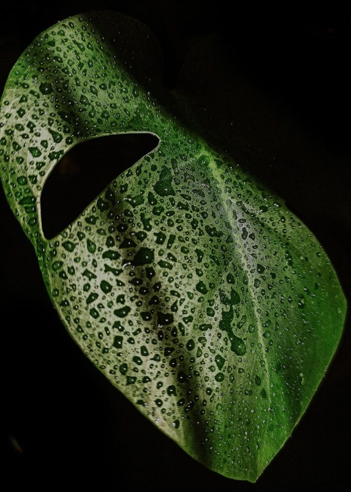 Photograph by Елена Подшевалова