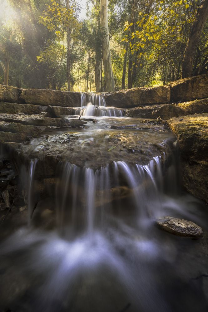 Photograph by Idan Livni