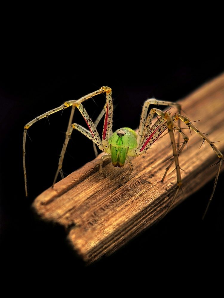 Photograph by Meeha begum N