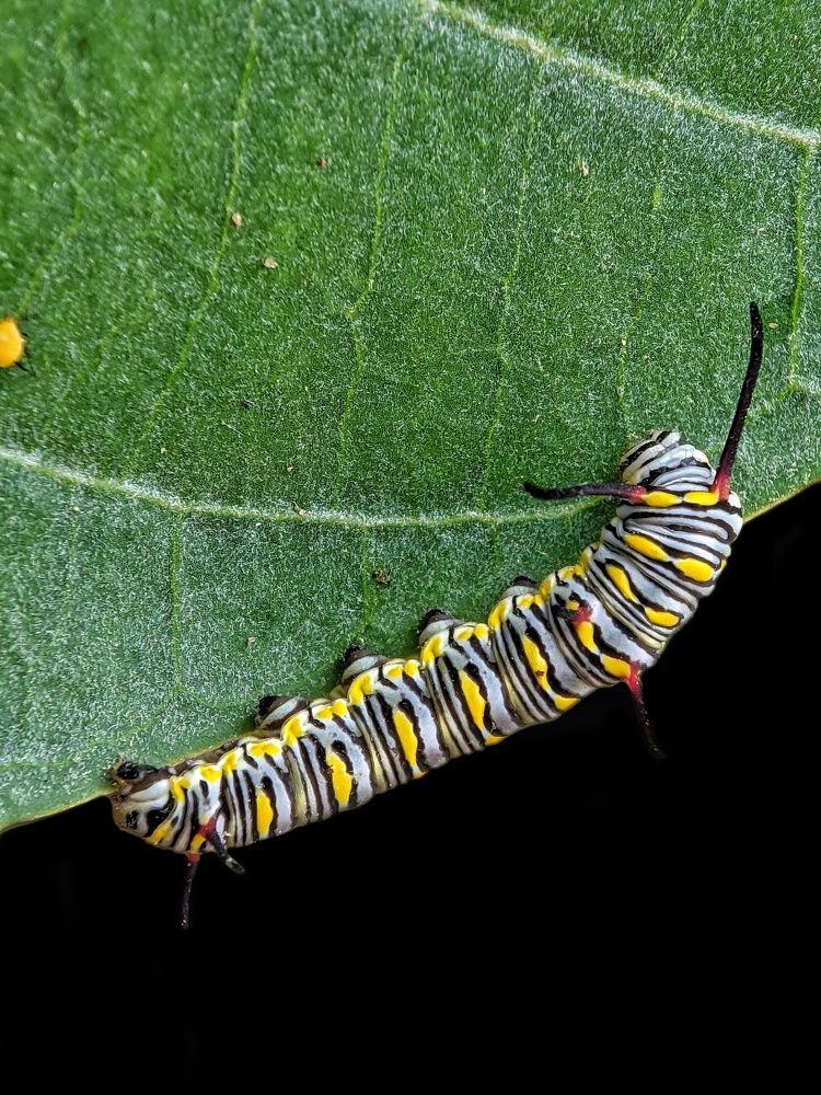 Photograph by Meeha begum N