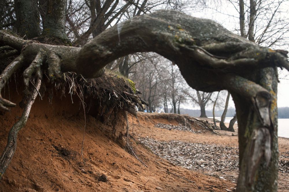 Photograph by Марина Багрецова