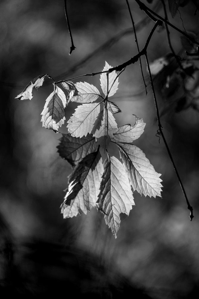 Photograph by Андрей Перец