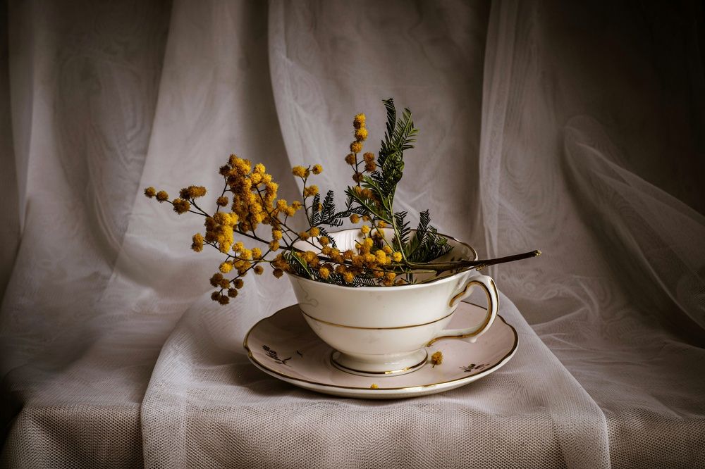 Photograph by Marian Lázaro