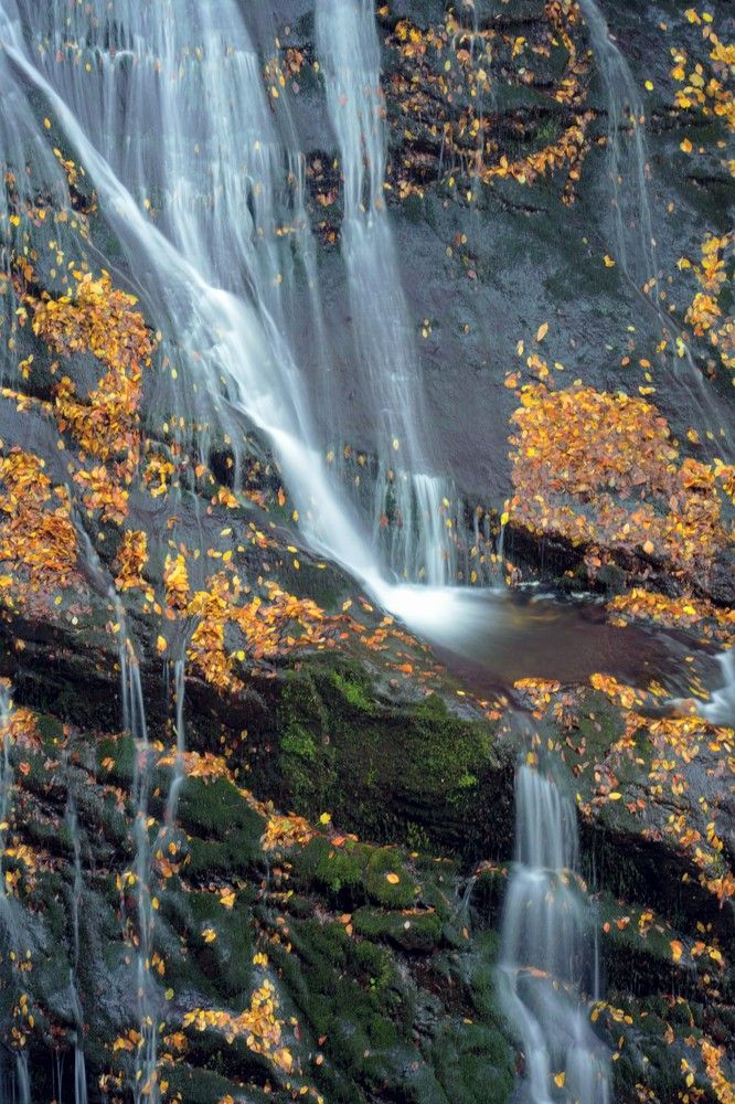 Photograph by cengiz pamuk