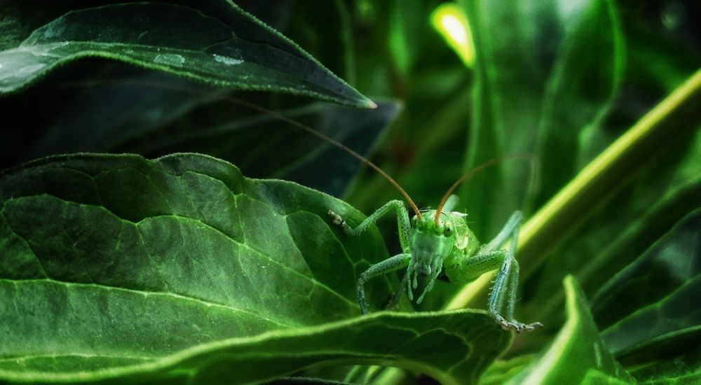 Photograph by Сергей Зайцев