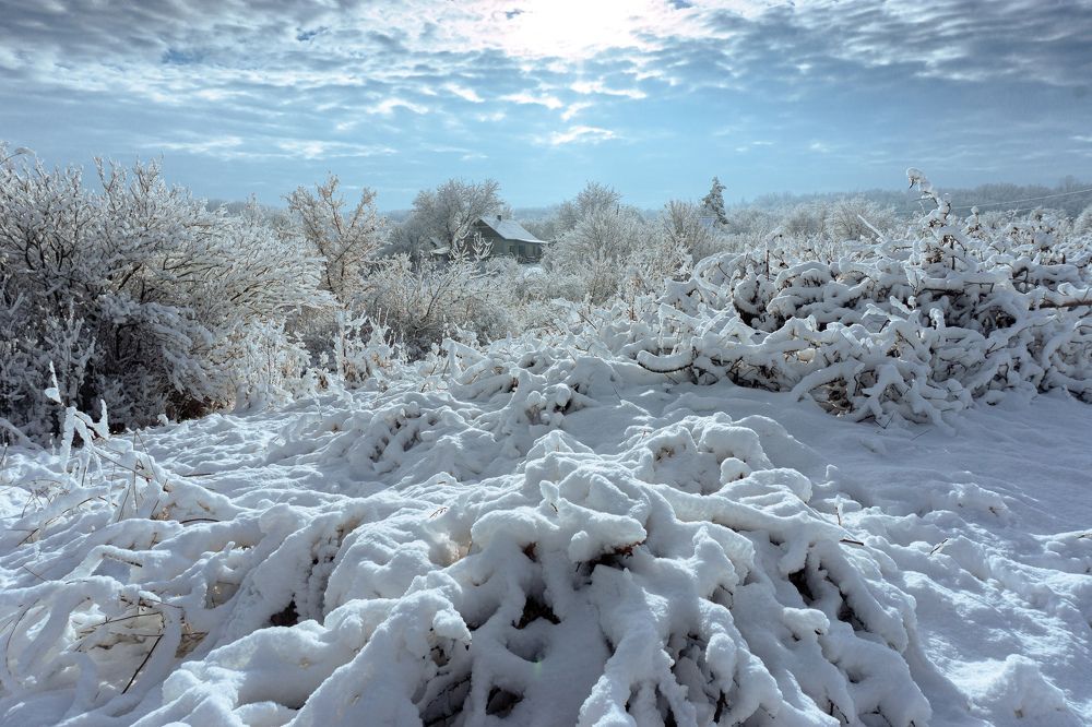 Photograph by Геннадий Гудиниц