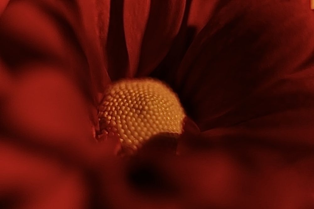 Photograph by Лупекина Оксана