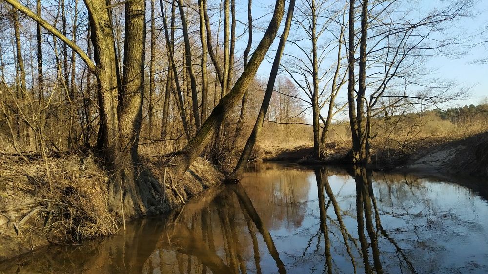 Photograph by Андрей Микулич