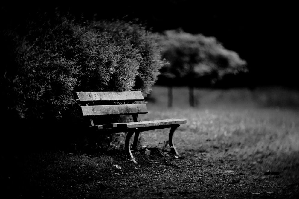 Фотография автора NIghtdream