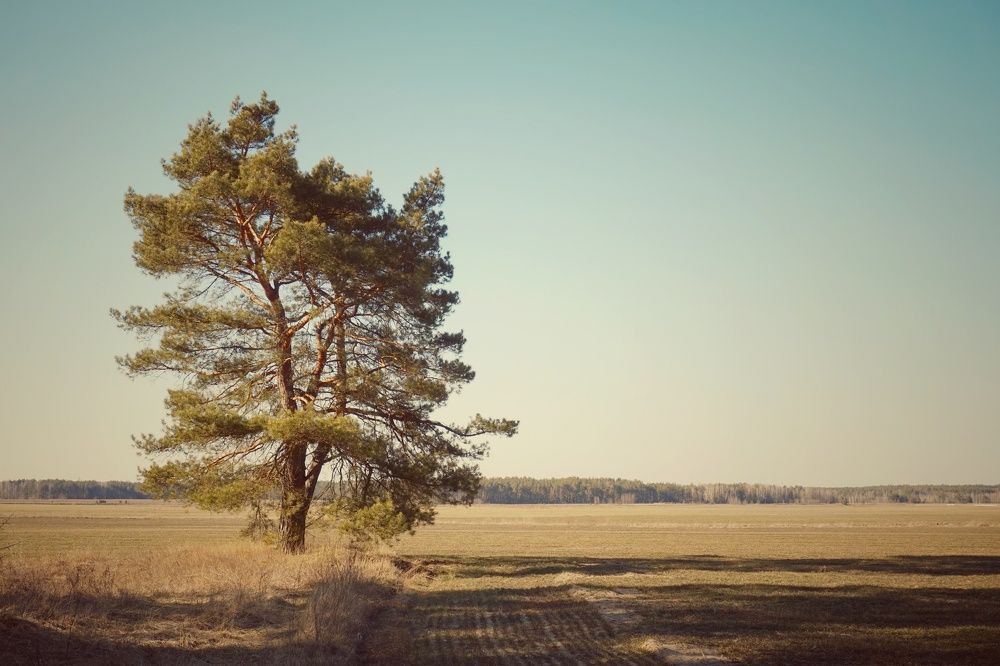 Photograph by Andreas Koff