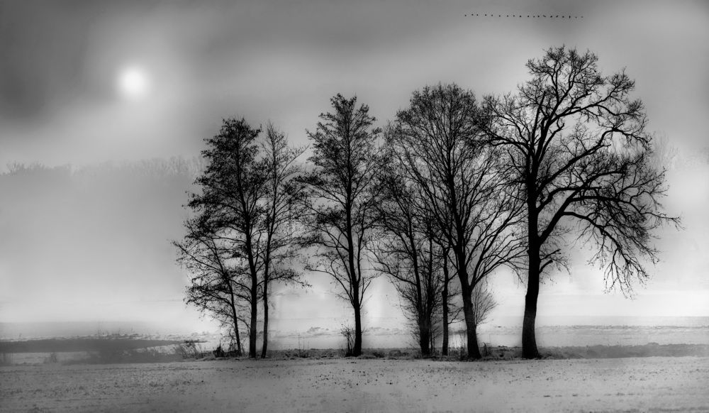 Фотография автора NIghtdream