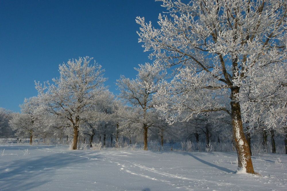 Photograph by Александр Кизим