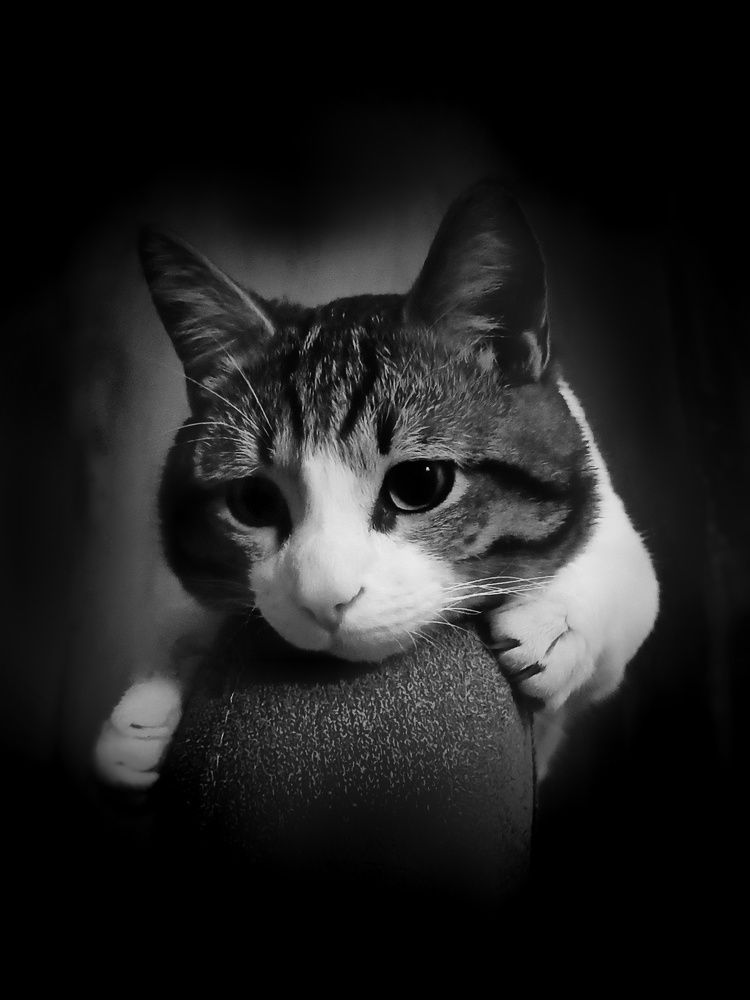 Photograph by Сергей Жигульский