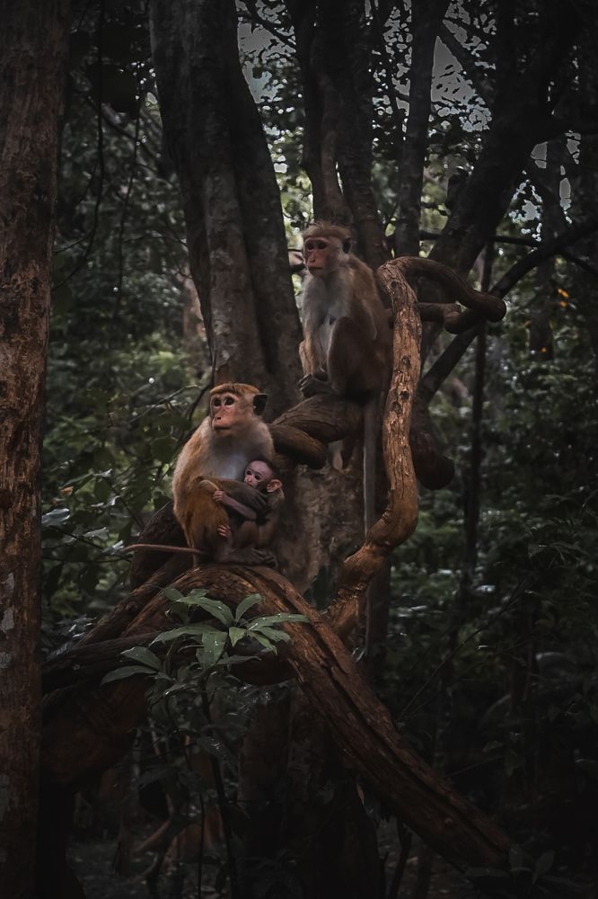 Photograph by Tata Glazkova