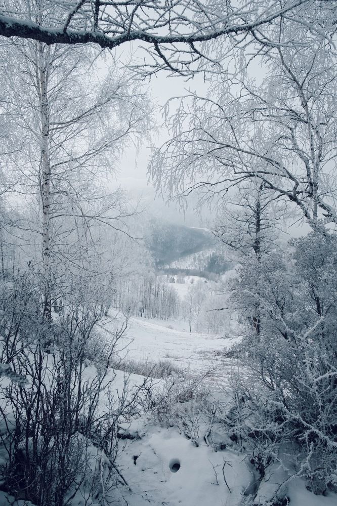 Photograph by Артур Газиев