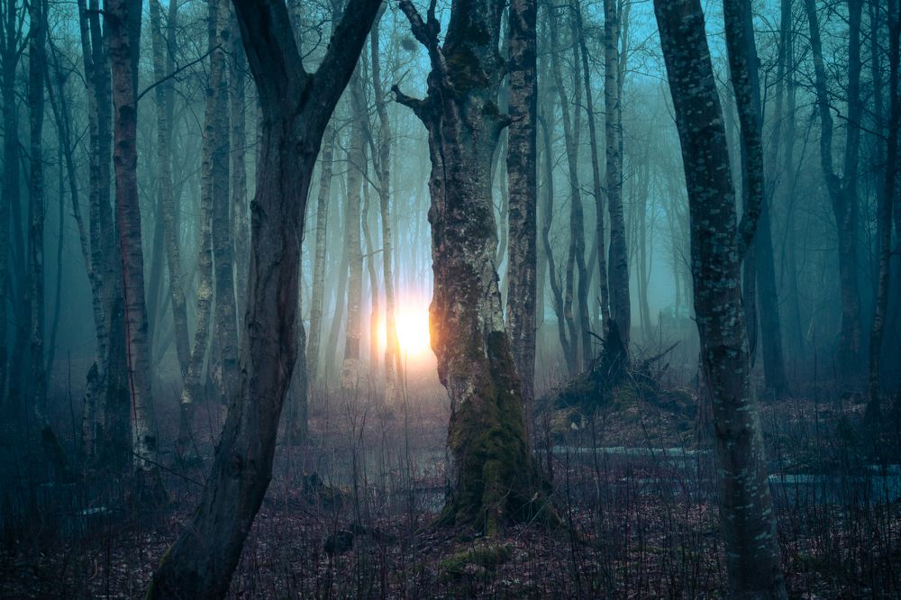 Photograph by Парфентьев Антон