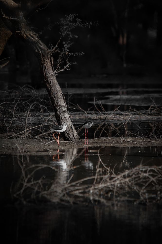 Photograph by ABDALLA Obada Abdelwahab