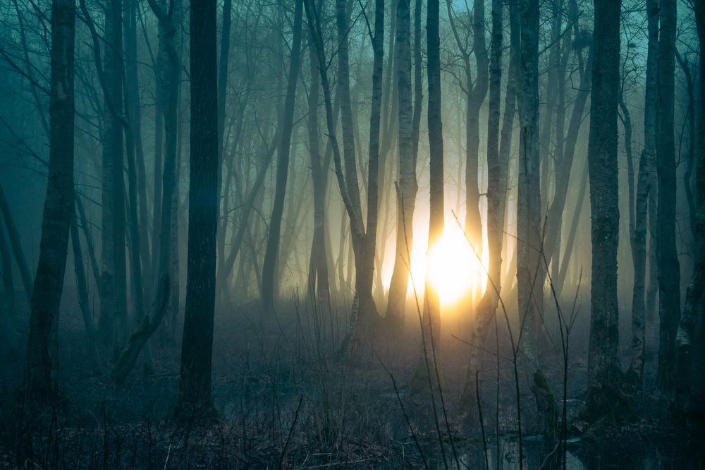 Photograph by Парфентьев Антон