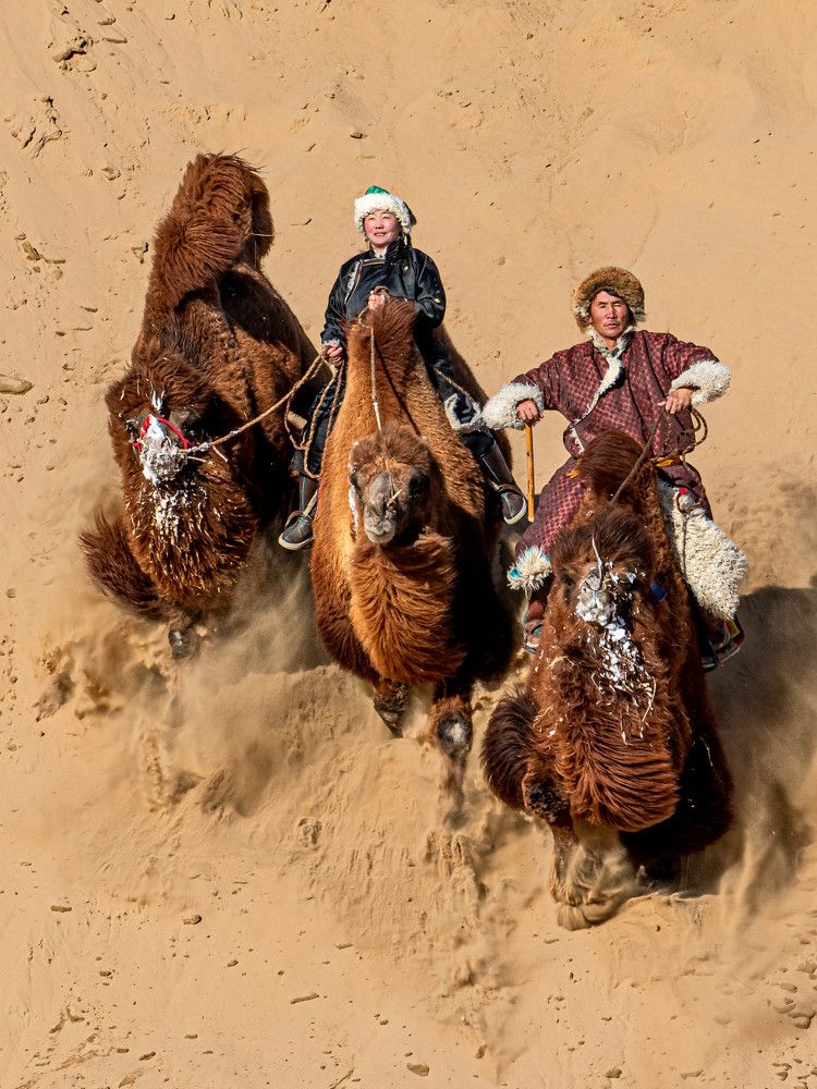 Photograph by Пүрэвсүрэн Отгонбаатар