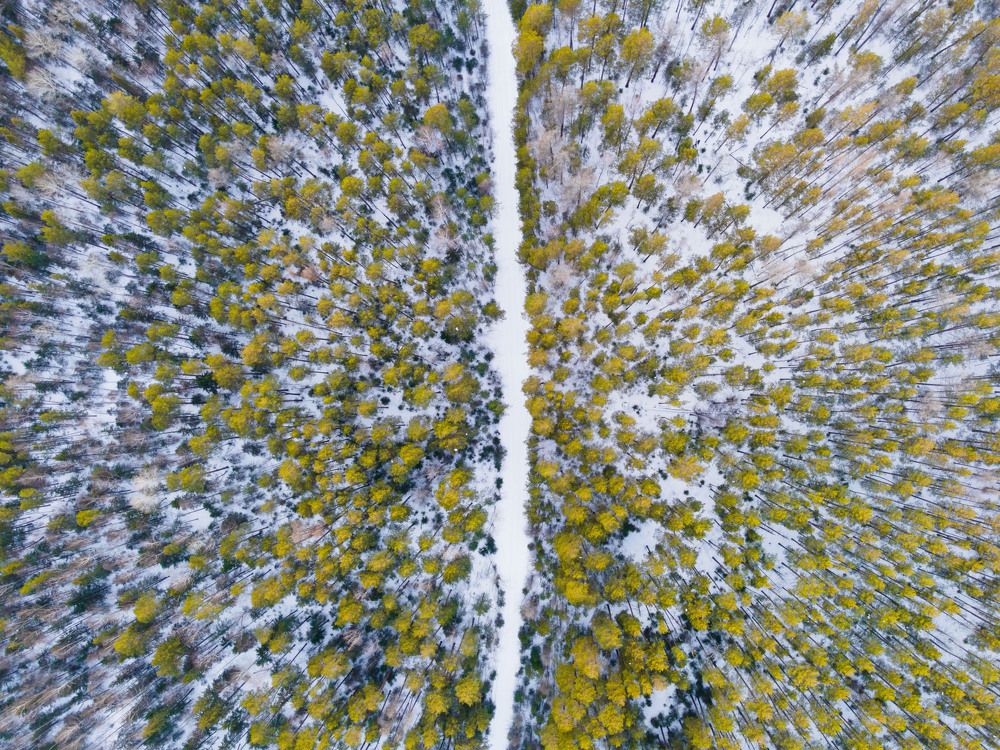 Photograph by Иван Федянин