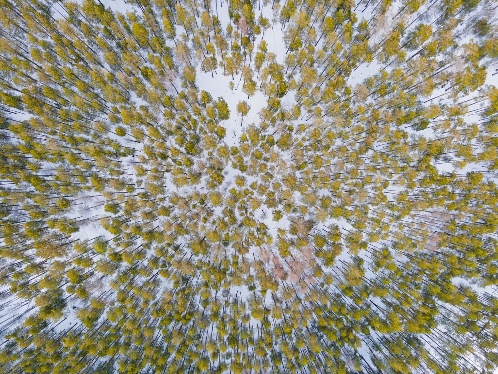 Photograph by Иван Федянин