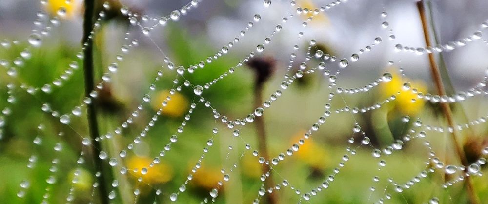 Photograph by Andrew Becker