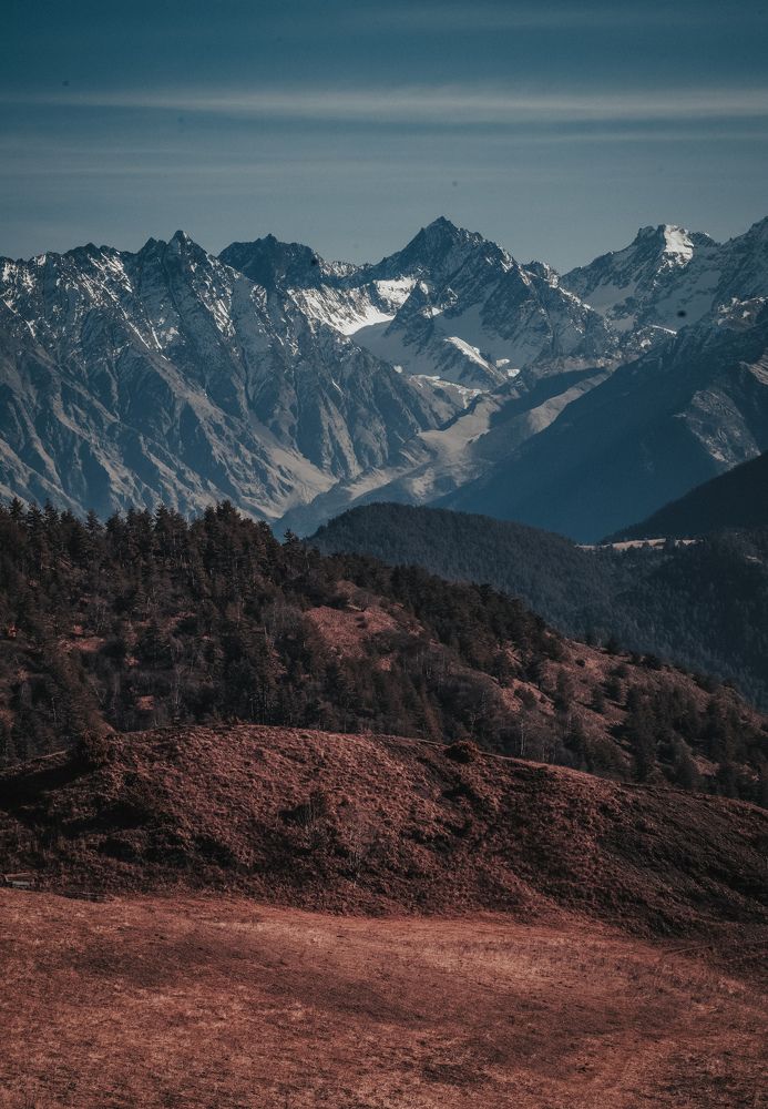 Г1АЛГ1АЙ МОХК