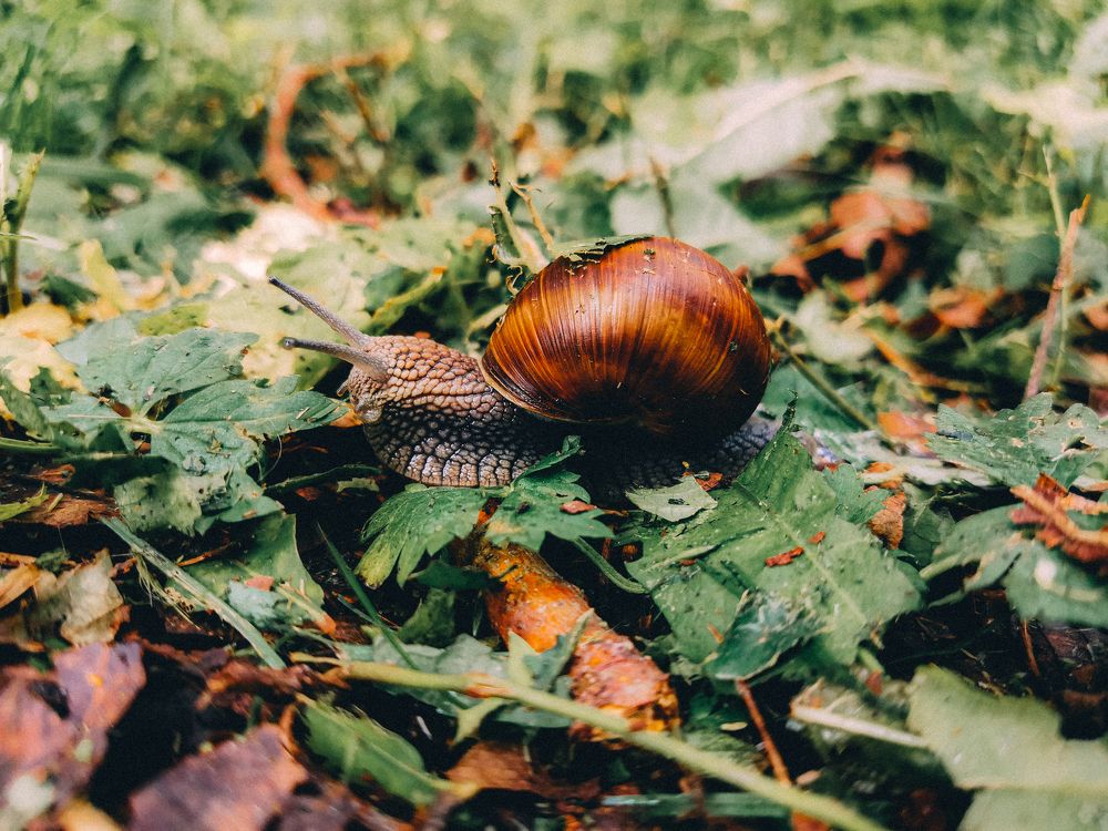 Photograph by Анна Бобрик