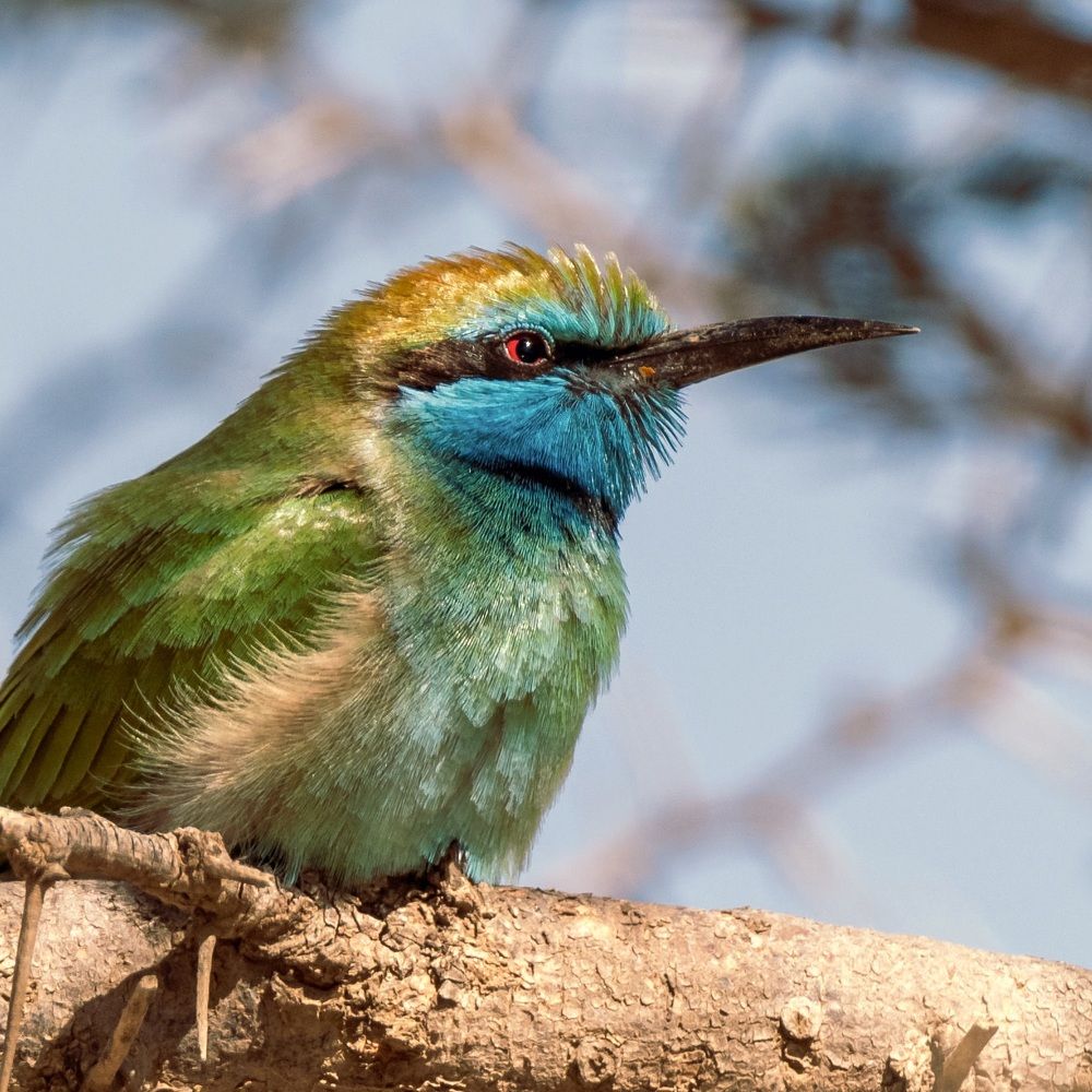 Photograph by Hervie Imus