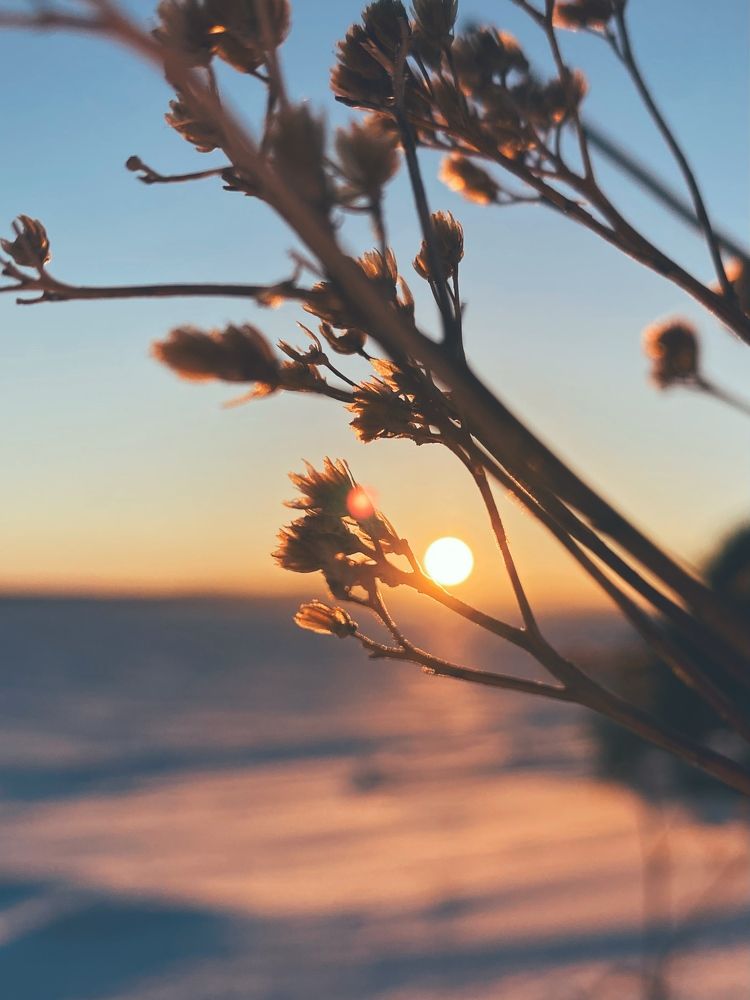 Photograph by Виктория Ярина