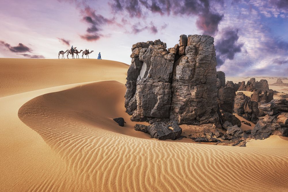 Touareg people camels caravan