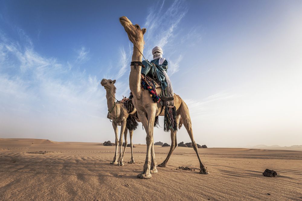Touareg man riging camel