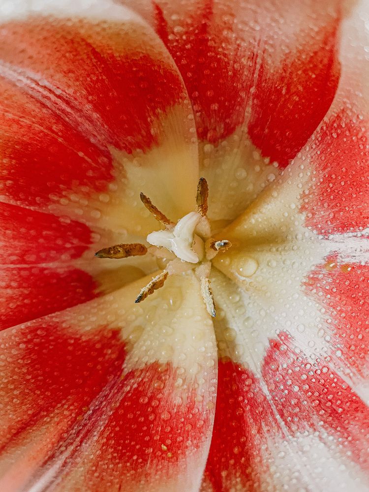 Фотография автора Oxana Yurasova