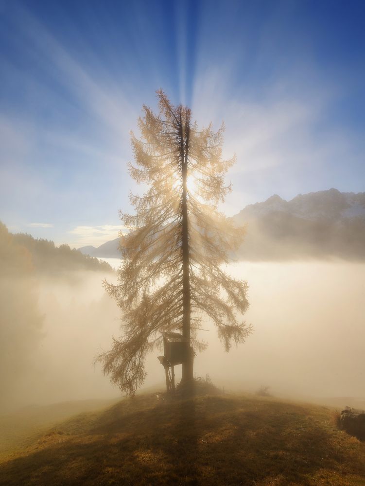 Photograph by Aleš Krivec