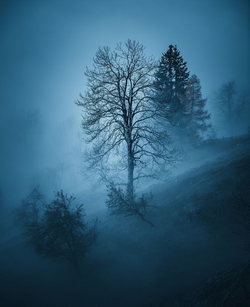 Photograph by Aleš Krivec