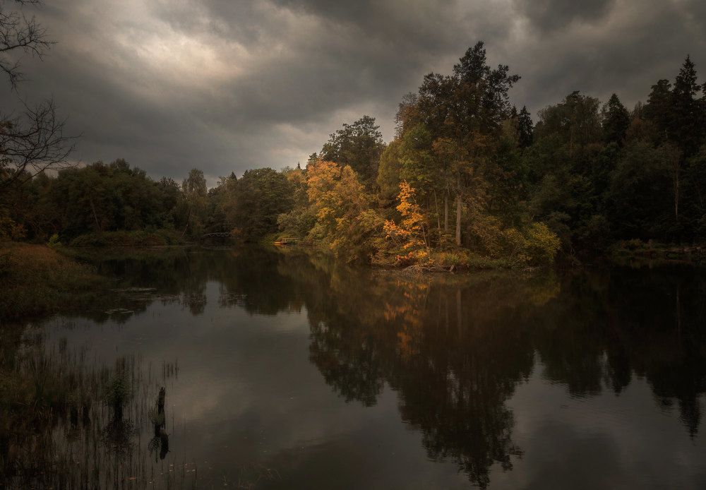 Photograph by Flavia