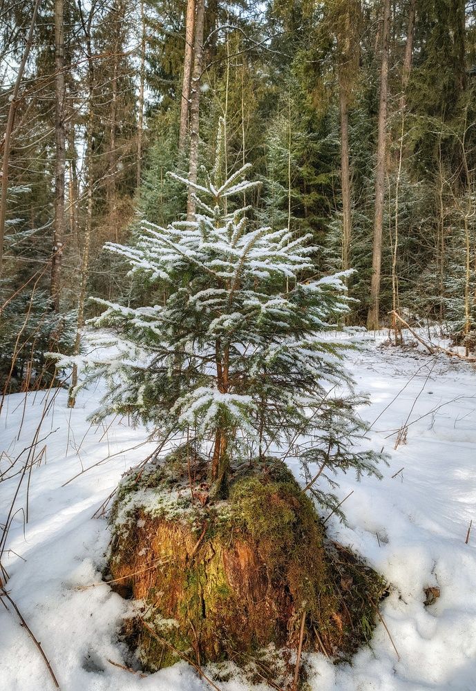 Photograph by Владимир Шаруба