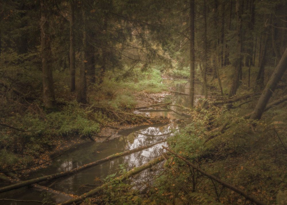 Photograph by Flavia